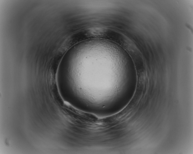 X0000097900651200803141355