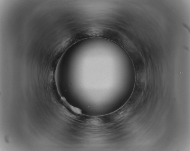 X0000097900652200803141355