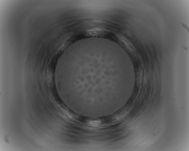 X0000097900653200803141355