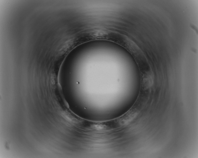X0000097900654200803141355