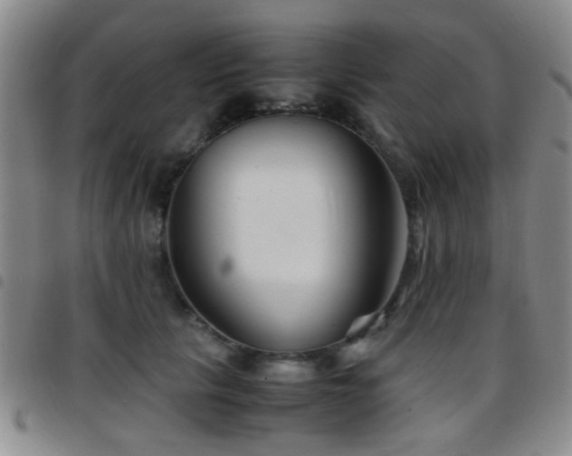 X0000097900657200803141356