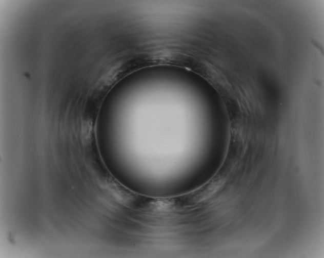 X0000097900660200803141356