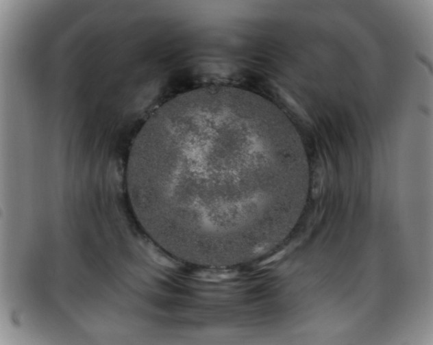 X0000097900661200803141356