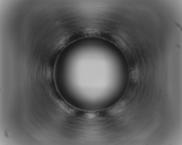 X0000097900662200803141356