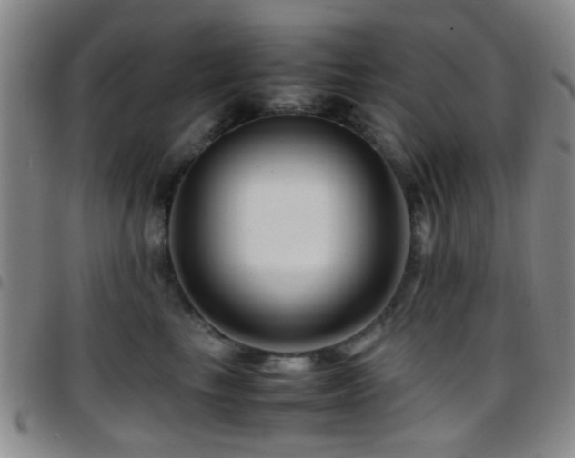 X0000097900665200803141356