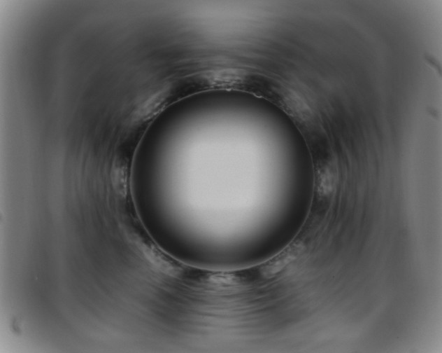 X0000097900666200803141356