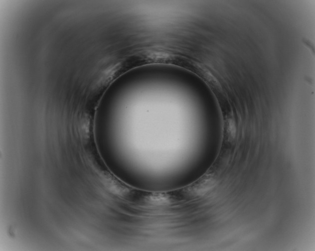 X0000097900668200803141356