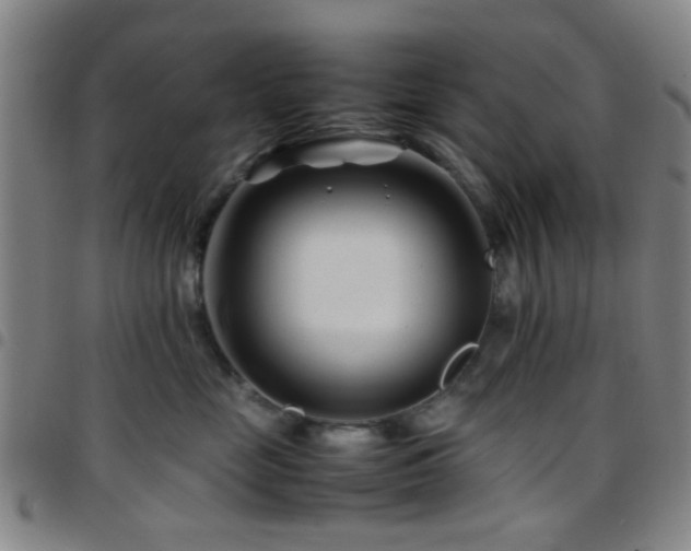 X0000097900669200803141356