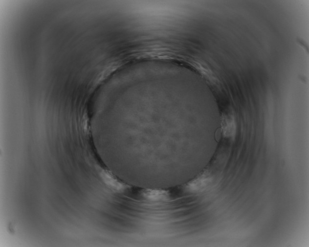 X0000097900670200803141356
