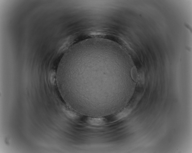 X0000097900671200803141356