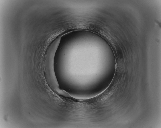 X0000097900673200803141355