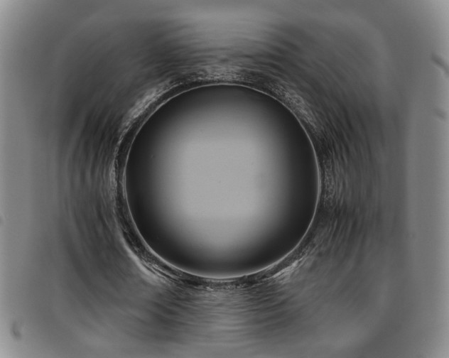 X0000097900674200803141355