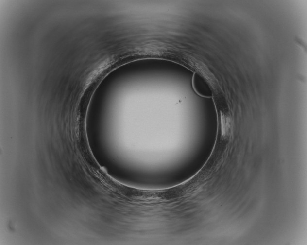 X0000097900675200803141355