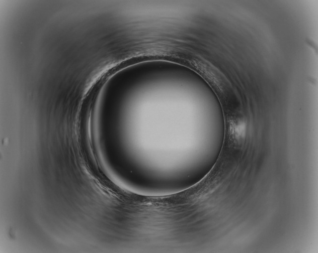 X0000097900676200803141355