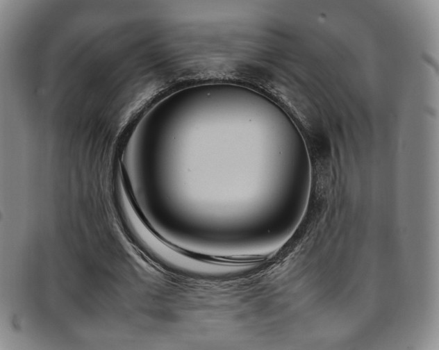 X0000097900677200803141355