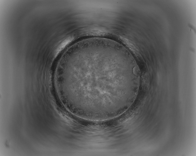 X0000097900679200803141355