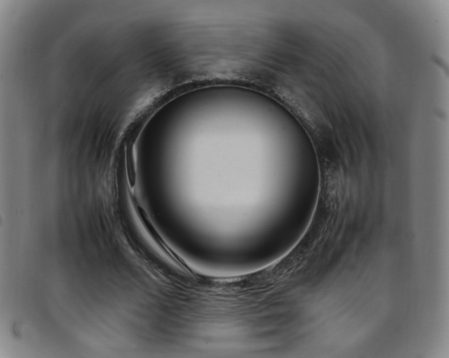 X0000097900680200803141355