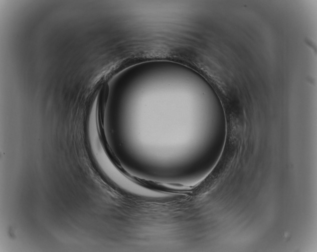X0000097900681200803141355