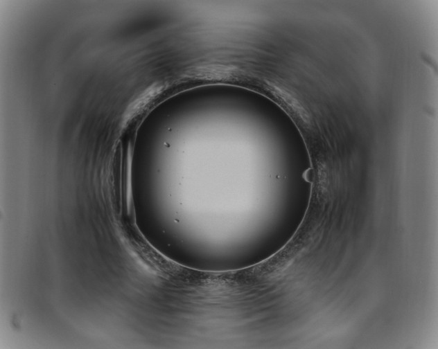 X0000097900682200803141355