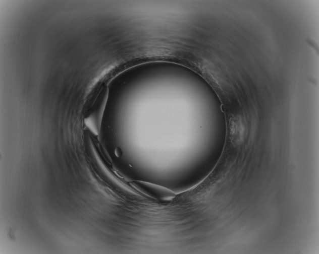 X0000097900684200803141355