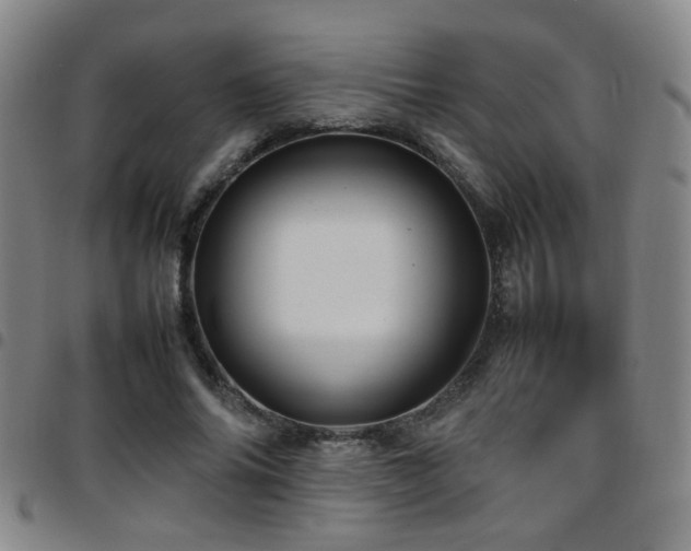 X0000097900686200803141355
