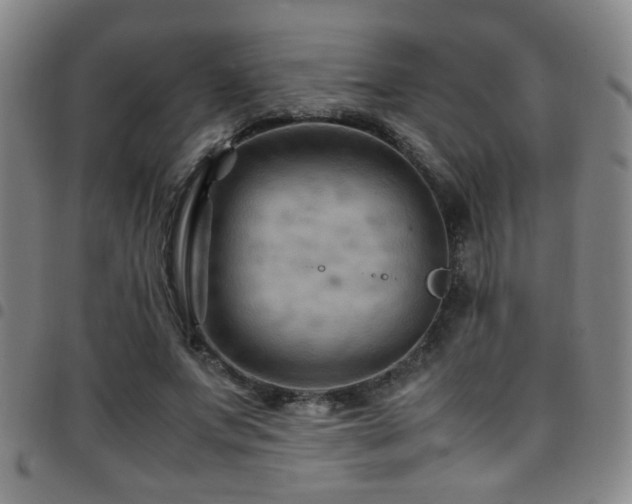 X0000097900687200803141355