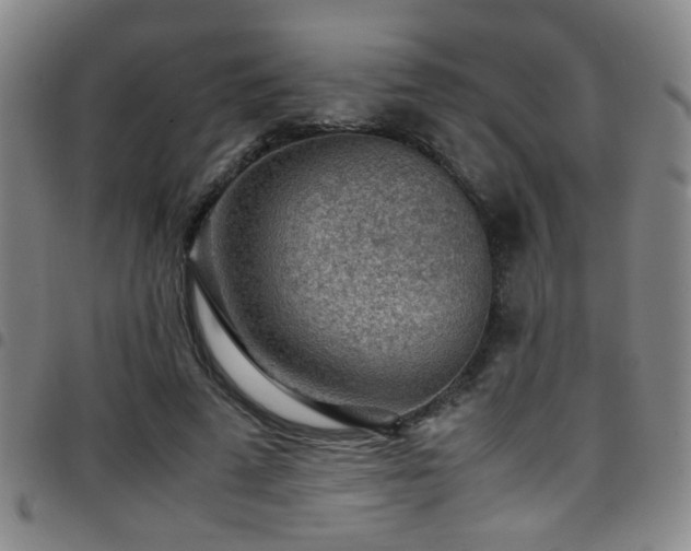 X0000097900689200803141355