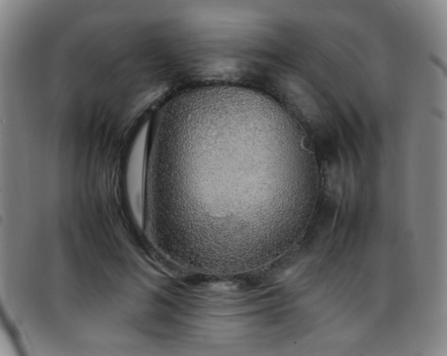 X0000097900692200803141355