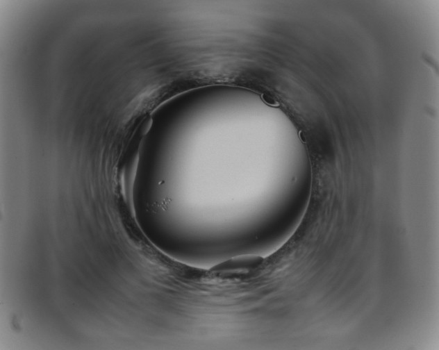 X0000097900693200803141355