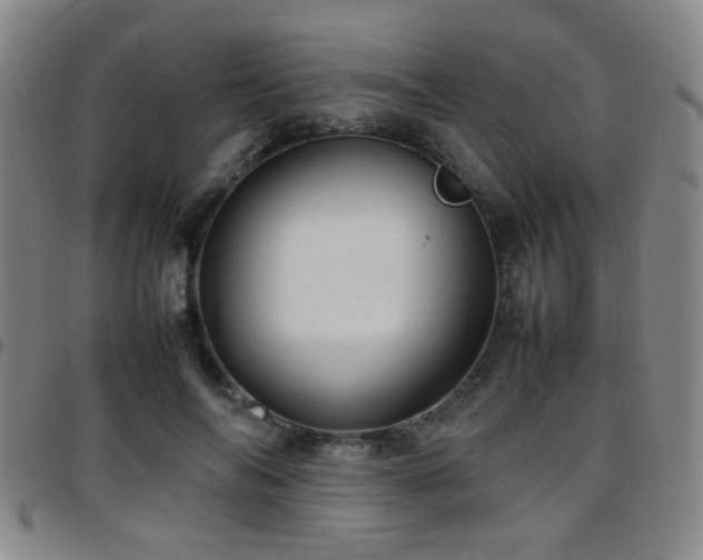 X0000097900694200803141355
