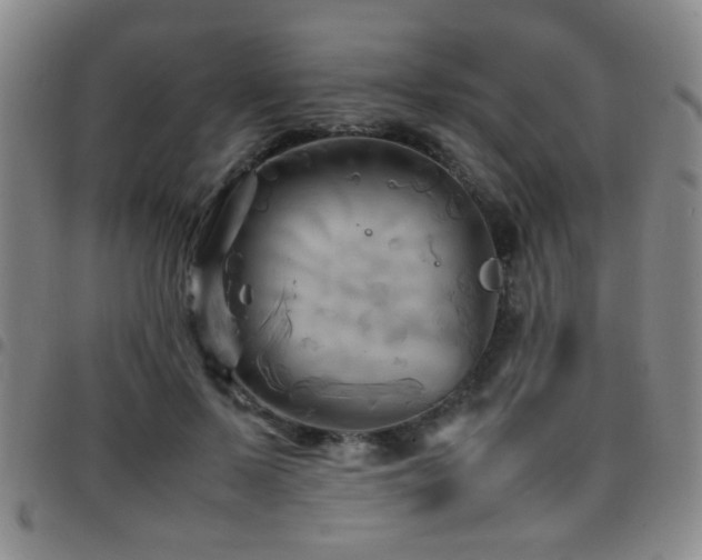 X0000097900695200803141355