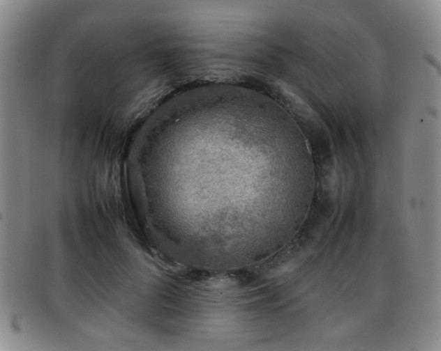 X0000097900696200803141355