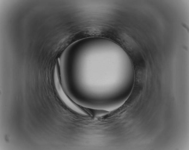 X0000097900697200803141355