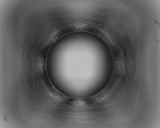 X0000097900698200803141355