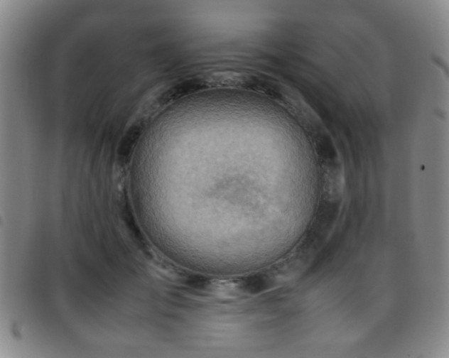 X0000097900701200803141355