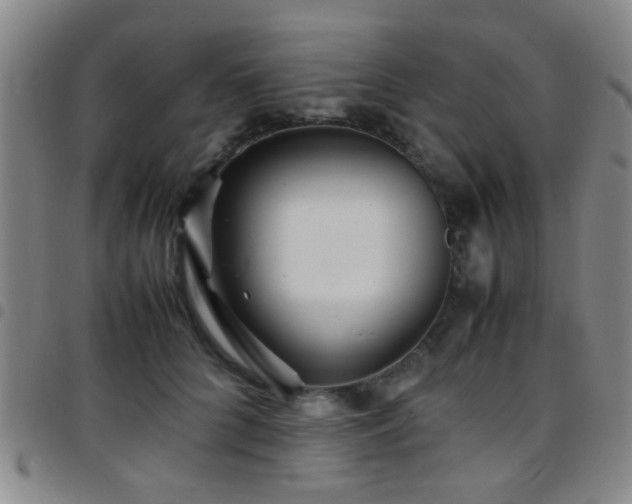 X0000097900704200803141355