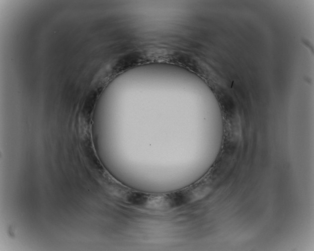 X0000097900705200803141355