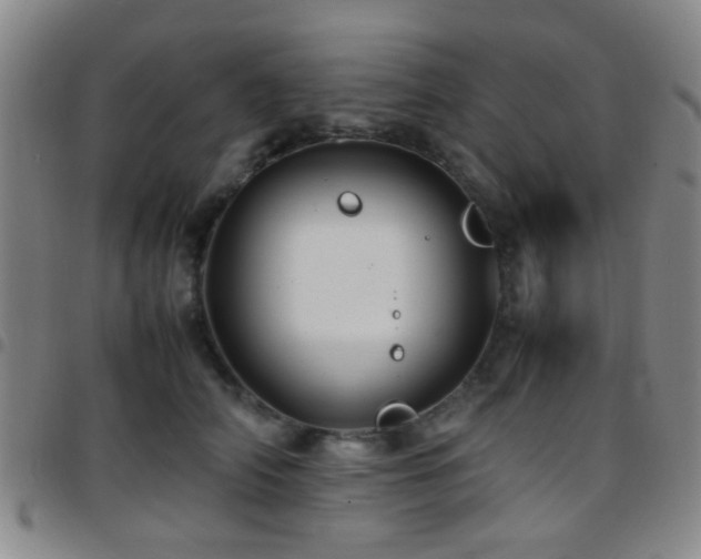 X0000097900706200803141355