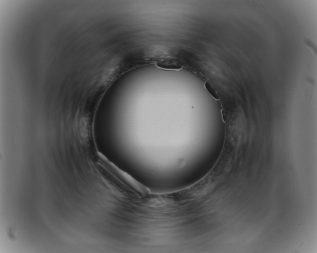 X0000097900708200803141355
