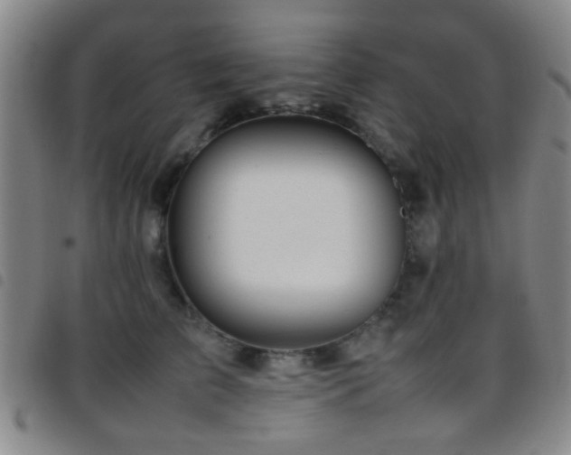 X0000097900709200803141355