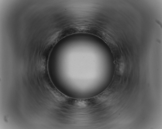 X0000097900710200803141355