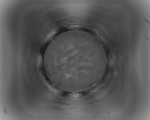 X0000097900711200803141355