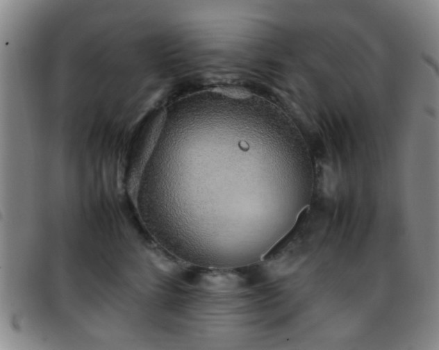 X0000097900712200803141355