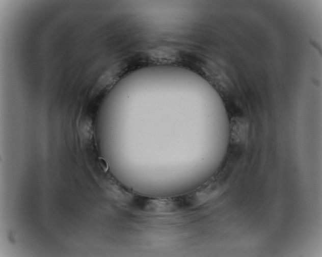X0000097900713200803141355