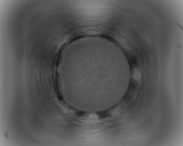 X0000097900715200803141355