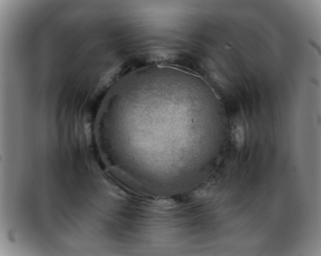 X0000097900716200803141354