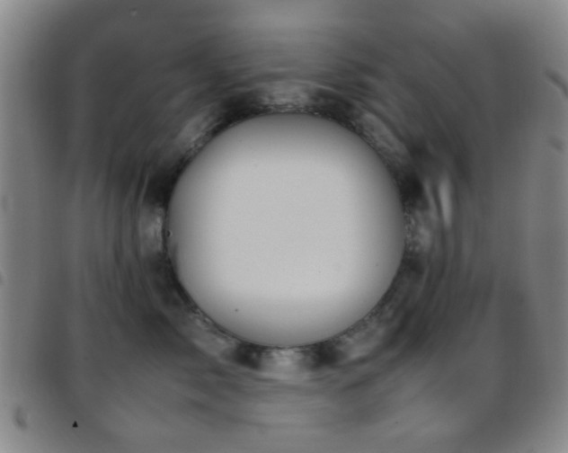 X0000097900717200803141354