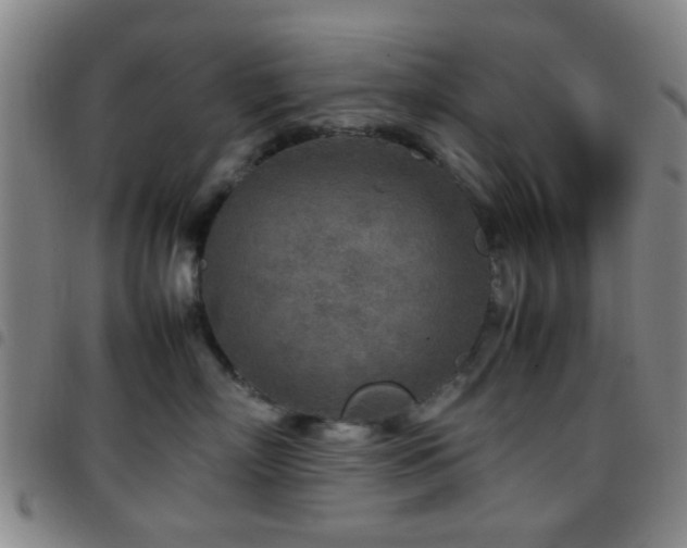 X0000097900718200803141354