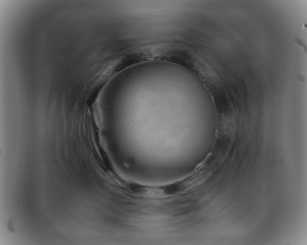 X0000097900719200803141354