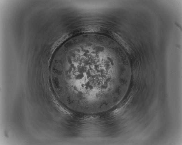 X0000097900721200803141354